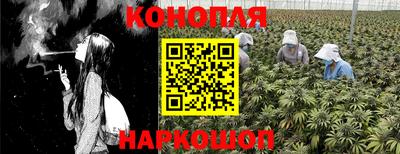 прущие крисы Партизанск