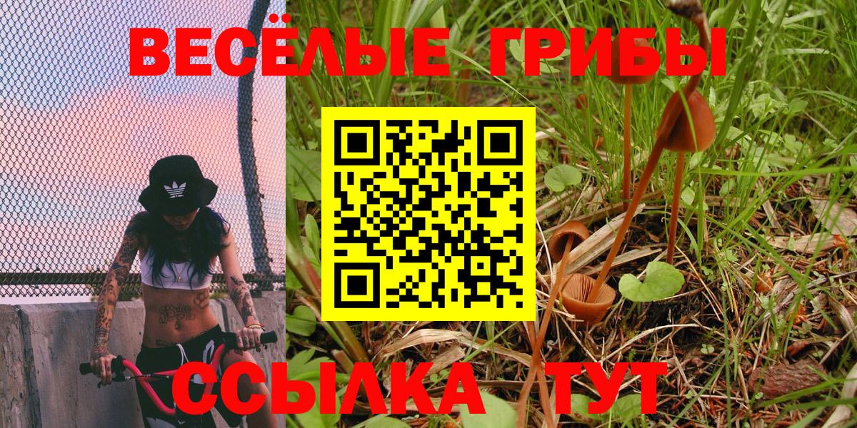 Псилоцибиновые грибы Magic Shrooms Сегежа