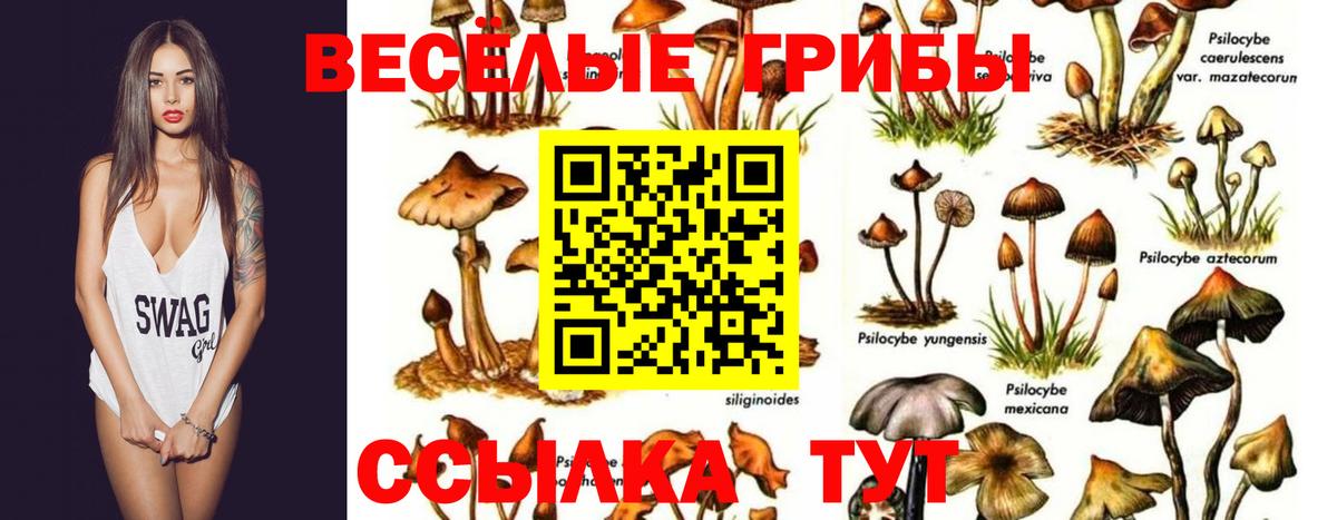 Псилоцибиновые грибы MAGIC MUSHROOMS  Вход с VPN  Сегежа 